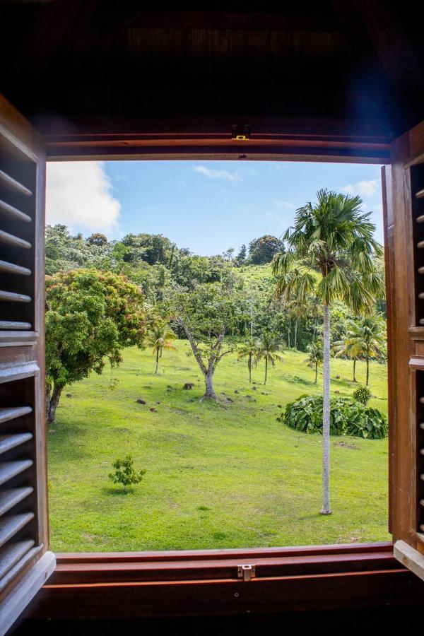 Hotel Jardin Malanga Basse-Terre Esterno foto