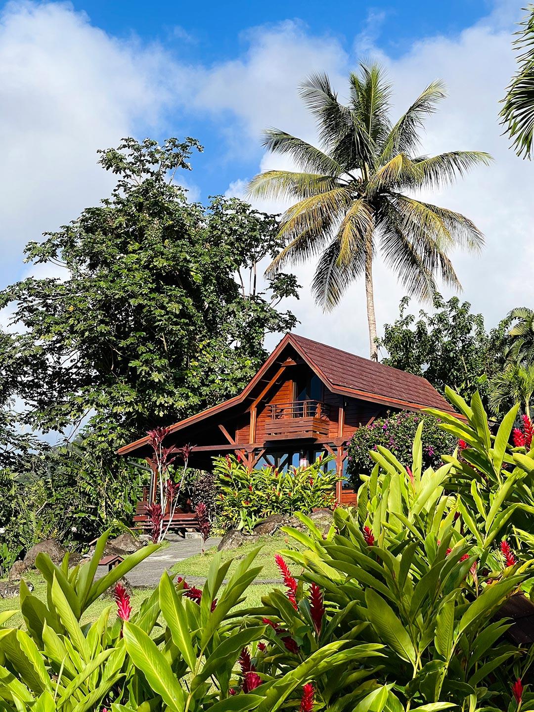 Hotel Jardin Malanga Basse-Terre Esterno foto