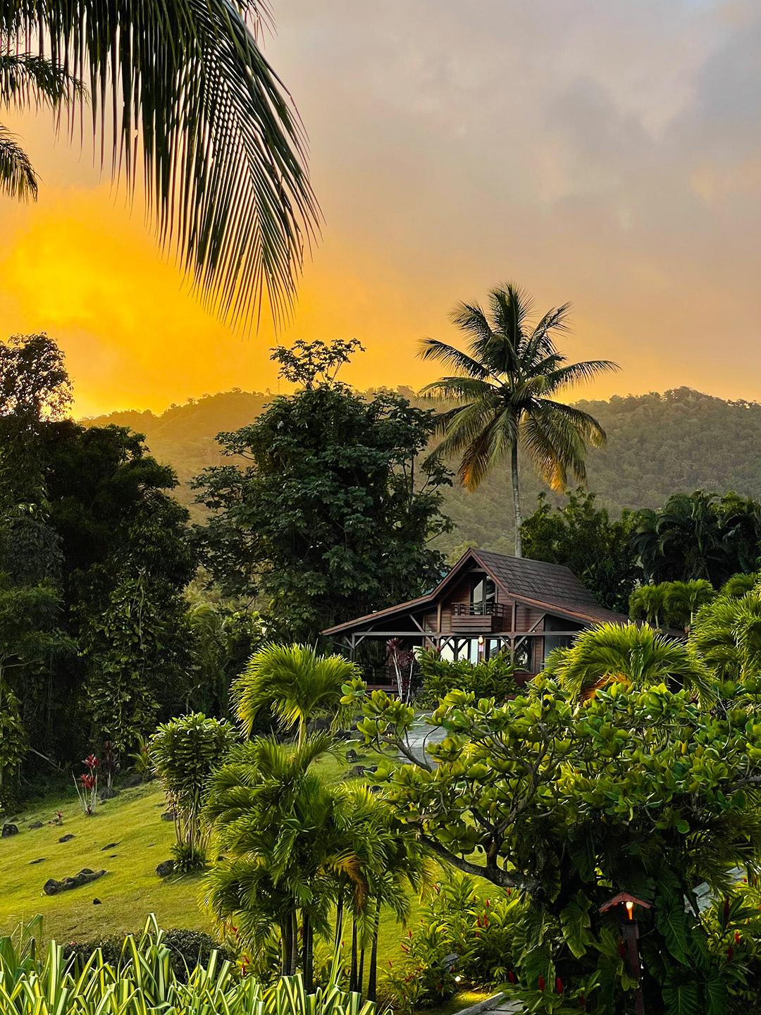 Hotel Jardin Malanga Basse-Terre Esterno foto
