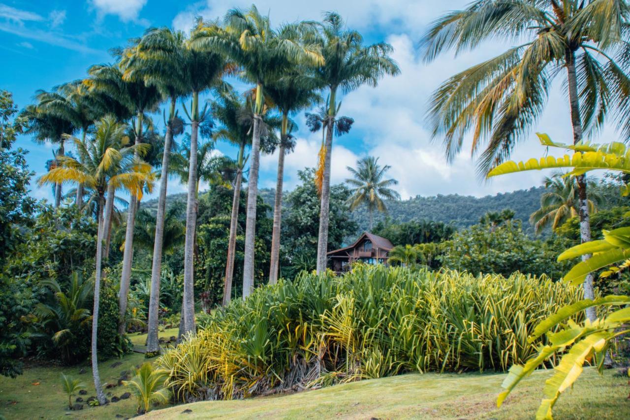 Hotel Jardin Malanga Basse-Terre Esterno foto